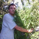 ���������� ����������, ���� ������� �������, 45 ���, ������������ ��� ������, ����� � ���������, c�������� ���������