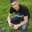  ,   Shako, 31 ,   ,   , c 