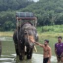 ���������� ������, ���� ������� �����, 35 ���, ������������ ��� ������, ����� � ���������