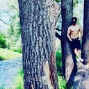 ���������� ����������, ���� ������� ����, 27 ���, ������������ ��� ������, ����� � ���������