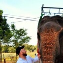  --,   , 38 ,   ,   , 