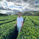 ���������� ����, ���� ������� �����, 45 ���, ������������ ��� c�������� ���������