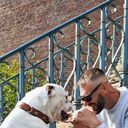 Antwerp,   , 43 ,   ,   