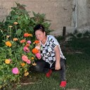  ,   , 42 ,   ,   