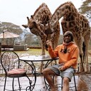 ���������� ������, ���� ������� ������, 43 ����, ������������ ��� ������, ����� � ���������, c�������� ���������