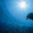 ���������� �����������, ���� ������� ������, 48 ���, ������������ ��� ������, ����� � ���������