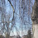  Sint-Truiden,   , 26 ,   c , 
