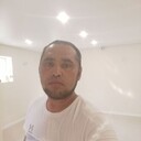  ,     , 43 ,   ,   