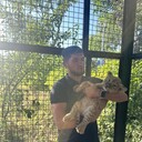 ���������� ������, ���� ������� ����, 33 ����, ������������ ��� ������, ����� � ���������