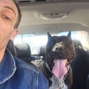 ���������� ������, ���� ������� ����, 42 ����, ������������ ��� ������, ����� � ���������, ���������