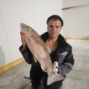 ���������� ����-���������, ���� ������� �����, 32 ����, ������������ ��� ������, ����� � ���������, c�������� ���������, ���������