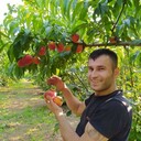  ,   Umut, 37 ,   ,   