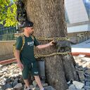 ���������� ������, ���� ������� ����, 39 ���, ������������ ��� ������, ����� � ���������