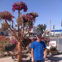  ,   Dima, 44 ,   