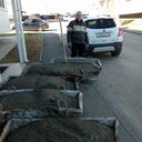 ���������� ���������, ���� ������� �������, 43 ����, ������������ ��� ����� � ���������