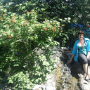 ���������� ������, ���� ������� �������, 55 ���, ������������ ��� ������, ����� � ���������