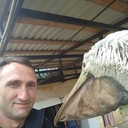  ,   , 44 ,   ,   , c 