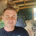 ���������� �����, ���� ������� ��������, 39 ���, ������������ ��� c�������� ���������