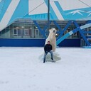  ,   , 37 ,   ,   