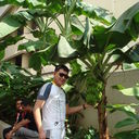 ���������� �����, ���� ������� �����, 42 ����, ������������ ��� ����� � ���������, c�������� ���������