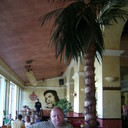 ���������� ������, ���� ������� Guljka, 52 ����, ������������ 