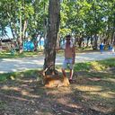 ,   , 38 ,   ,   , c , 