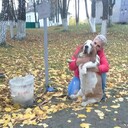  ,   , 47 ,   ,   