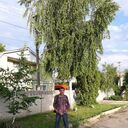  ,   , 45 ,   ,   