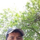 ���������� �����-���������, ���� ������� ������, 42 ����, ������������ ��� ������, ����� � ���������, c�������� ���������