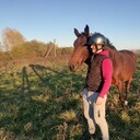 ���������� ������, ���� ����� ������, 24 ����, ������������ ��� ������, ����� � ���������