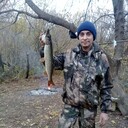 ���������� ������ ��������, ���� ������� ������, 43 ����, ������������ ��� ����� � ���������