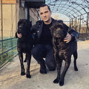 ���������� ����, ���� ������� �������, 36 ���, ������������ ��� ������, ����� � ���������, c�������� ���������, ���������