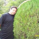 ���������� ���������, ���� ������� ��������, 48 ���, ������������ ��� ����� � ���������, c�������� ���������