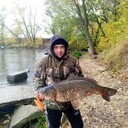 ���������� ������, ���� ������� ��������, 38 ���, ������������ ��� ������, ����� � ���������