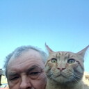  ,   , 54 ,   
