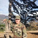  ,   , 55 ,     