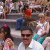  ,   , 53 ,   