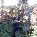 ���������� �������, ���� ������� ����, 42 ����, ������������ ��� c�������� ���������