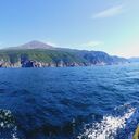 ���������� �����������, ���� ������� ��������, 39 ���, ������������ ��� ������, ����� � ���������