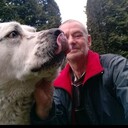 ���������� �����������, ���� ������� ������, 54 ����, ������������ ��� ������, ����� � ���������, c�������� ���������