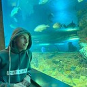  ,   , 25 ,   ,   , 