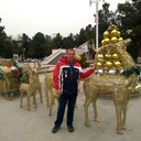 ���������� ������, ���� ������� �������, 38 ���, ������������ ��� ������, ����� � ���������, c�������� ���������