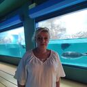  ,   , 55 ,   ,   , 