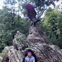  ,   , 36 ,     , c 