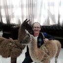  ,   , 62 ,   ,   