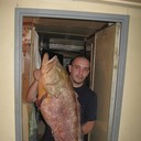  ,   Lion, 47 ,   ,   , c 