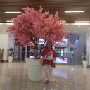 ���������� ������, ���� ������� ���, 47 ���, ������������ ��� ������, ����� � ���������, c�������� ���������