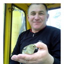  ,   , 58 ,   ,   , c 