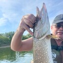 ���������� ���, ���� ������� �����, 41 ���, ������������ ��� ������, ����� � ���������