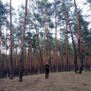 ���������� �������, ���� ������� ����, 29 ���, ������������ ��� c�������� ���������